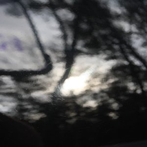 IMG_1833_reduced1