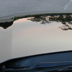 'Stang At Sunset