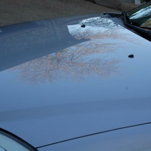 HtCG Hood