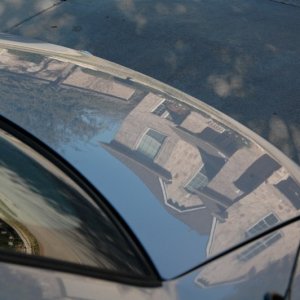 HtCG Trunk