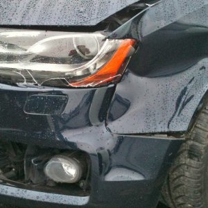 AG2-DeerDamage1