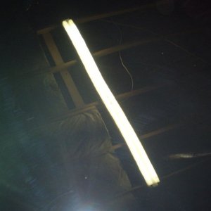 P10103231
