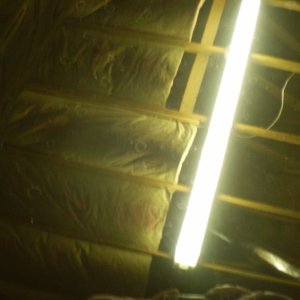 P10103261