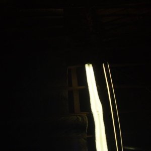 P10103341