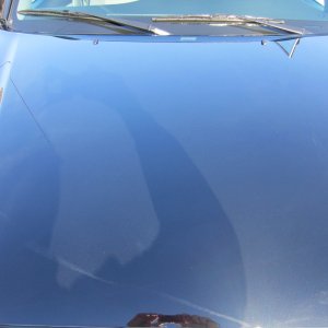 IMG_03881