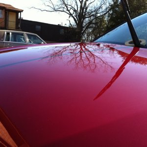 01 red corolla afters