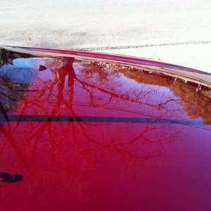 01 red corolla afters