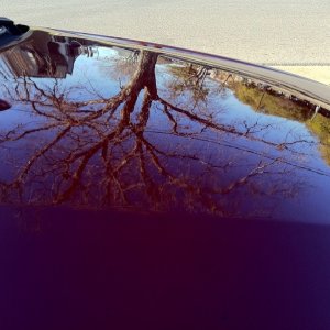 01 red corolla afters