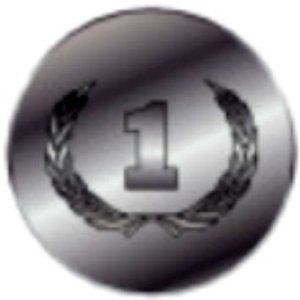 OneYearAward
