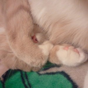 2011-12-23_02_14_49