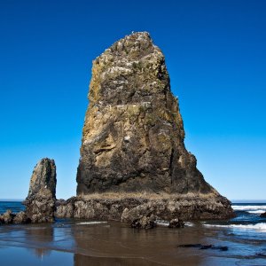 Cannon_Beach_Scenes_2011-14