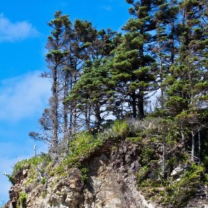 Cannon_Beach_Scenes_2011-25