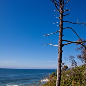 Cannon_Beach_Scenes_2011-33