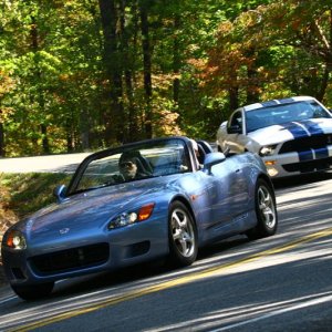 Z0600195_edited-1