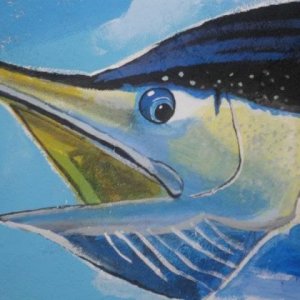 marlin