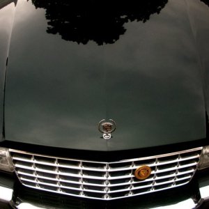 CADDY_2