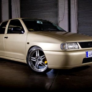 My polo 1