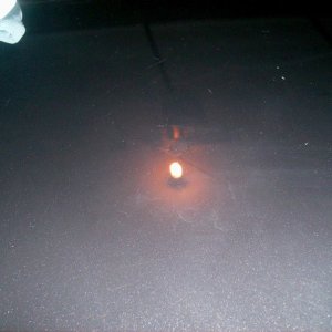 poliseal hybrid test