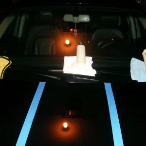 poliseal hybrid test