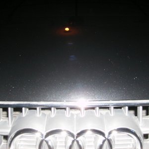 poliseal hybrid test
