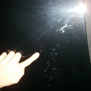 poliseal hybrid test
