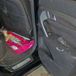 Back_Door