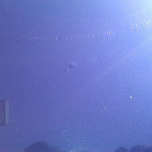 WP_000073