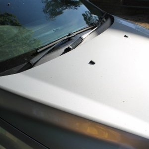 Bonnet Before