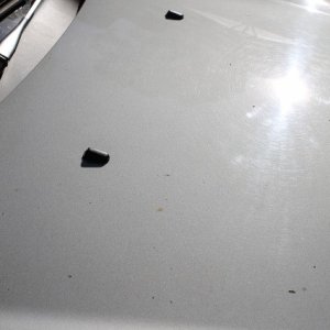 Bonnet before