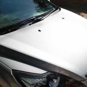 Bonnet after