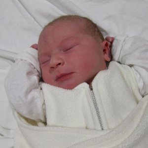 Elsie