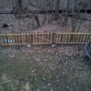fence