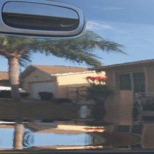 00 Corrolla Reflection shots pt.1