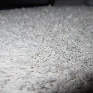 IMG_0718_mini