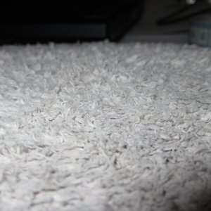 IMG_0719_mini