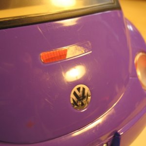 IMG_1637_resize