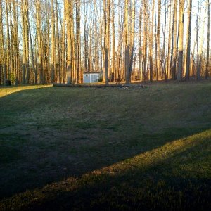 neighbors_downed_tree