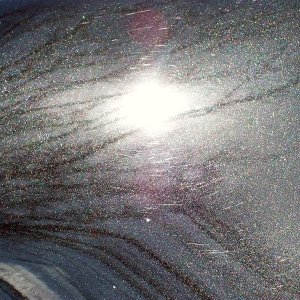 103_2951_800x600