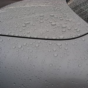 IMG_8645_800x600_