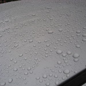 IMG_8646_800x600_