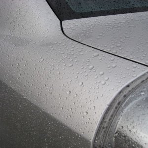 IMG_8648_800x600_