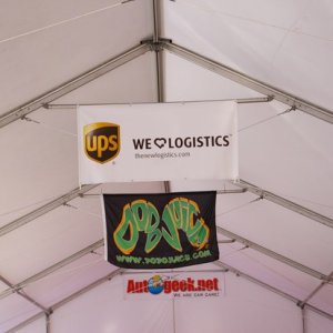 IMGP4311