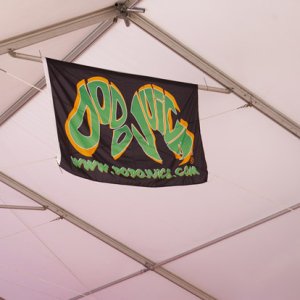 IMGP42981