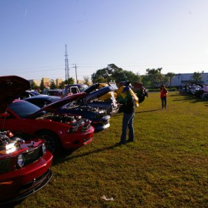 IMGP43161