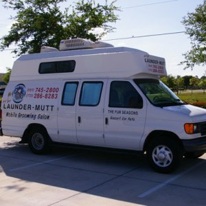 IMGP43501