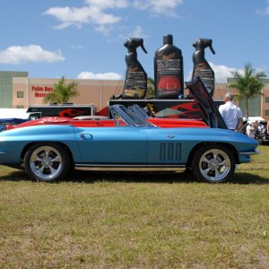 AG2_19481