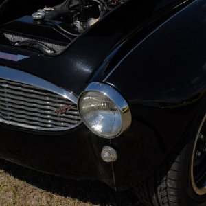 AG2_19521
