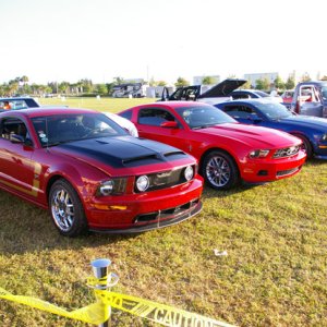 IMGP42541