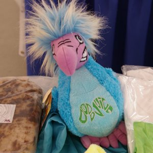 IMGP4431