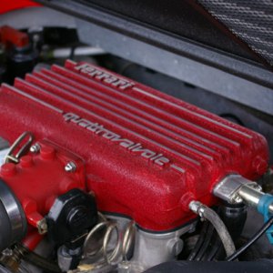 IMGP4449